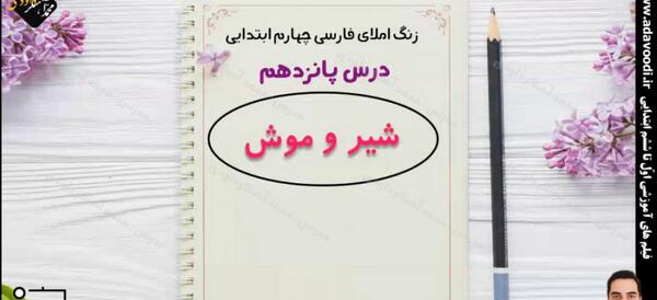 عکس شیر موش
