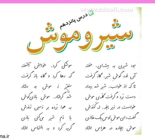 عکس شیر موش