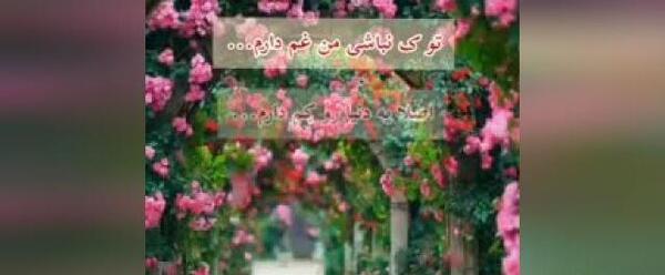 عکس وضعیت واتساپ یوسف زمانی