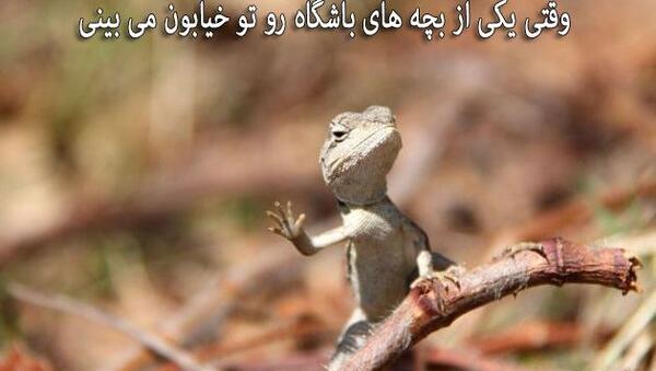 عکس نوشته جدید خنده دار