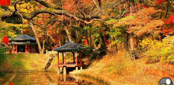 عکس تصاویر زیبا برای پروفایل از طبیعت