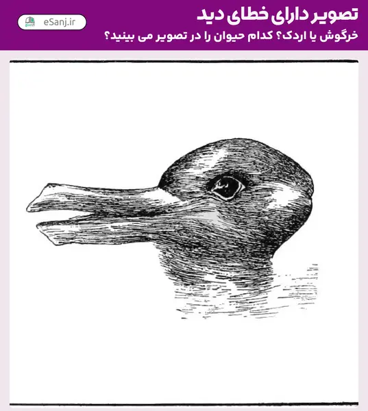 عکس عکس خطای دید