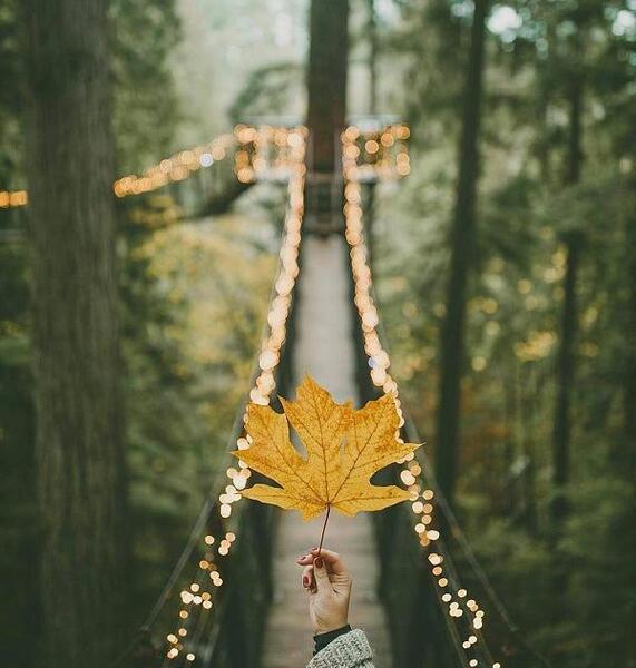 عکس پروفایل دخترونه جدید جدید