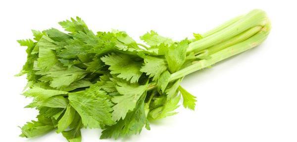 عکس کرفس محلی