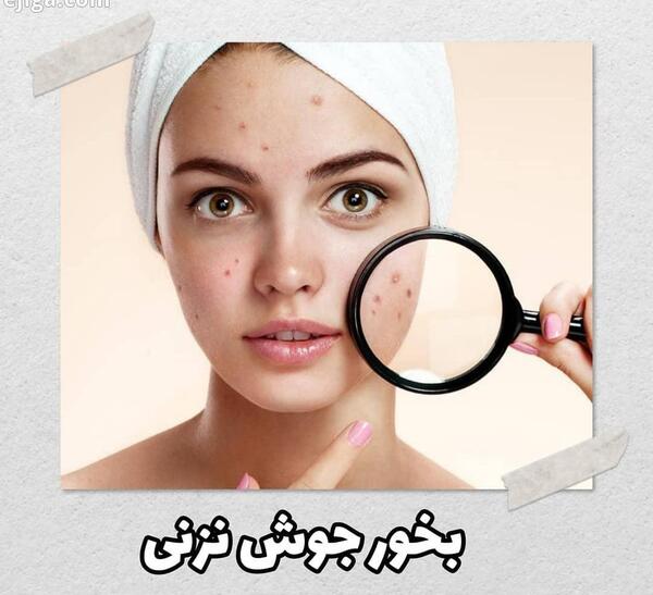 عکس کرفس محلی