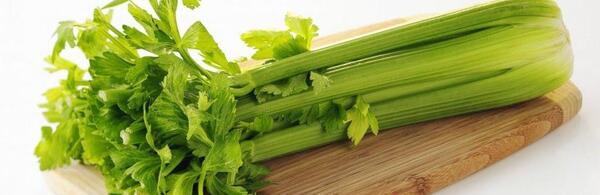 عکس کرفس محلی