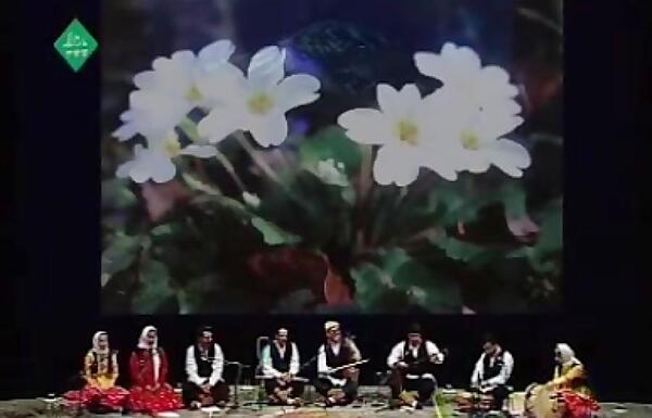 عکس امیر پازواری
