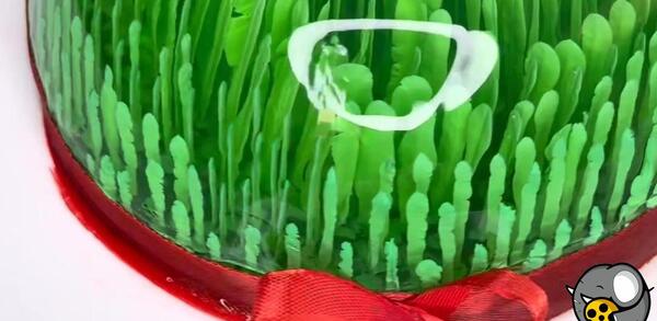 عکس ژله عید نوروز