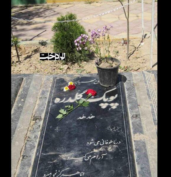 عکس بازیگر پوپک گلدره