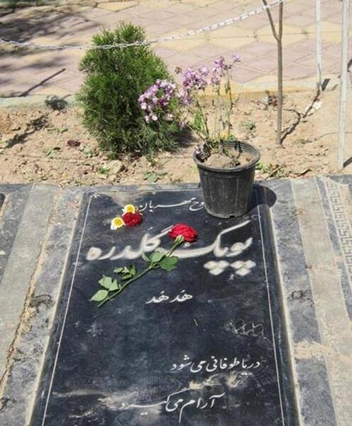 عکس بازیگر پوپک گلدره