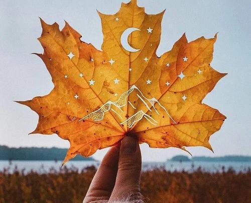 عکس پروفایل خوب میخوام