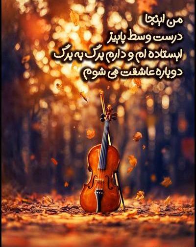 عکس استوری پاییز هایده
