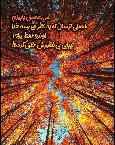 عکس استوری پاییز هایده