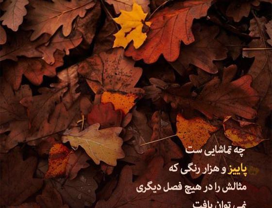 عکس استوری پاییز هایده