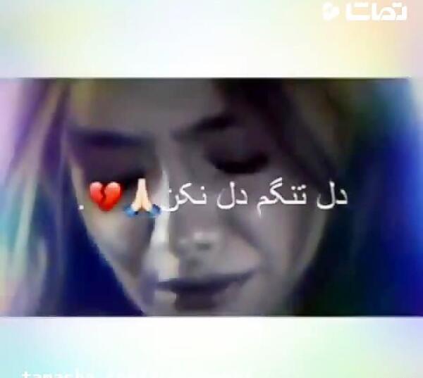 عکس نوشته کجا میری