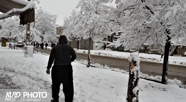 عکس زمستان سنندج