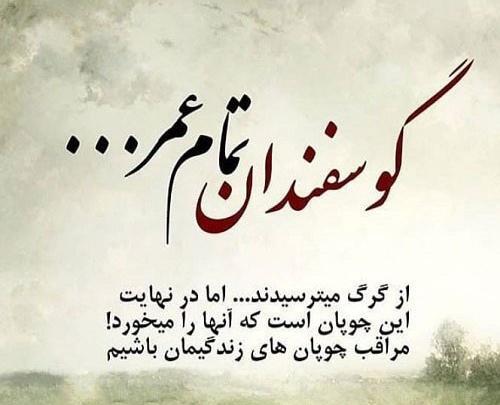 عکس نوشته دوست دارم میلاد