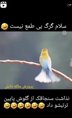 عکس نوشته آهنگ های سوگند