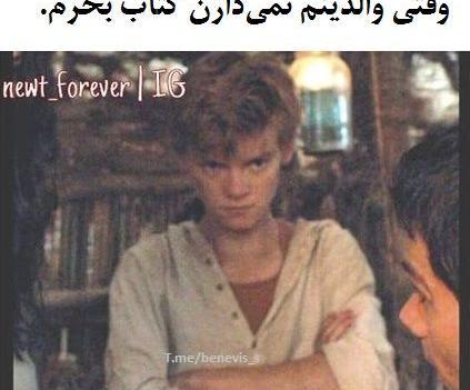 عکس طنز جوجه تیغی