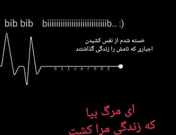 عکس بیو گرافی ضربان قلب