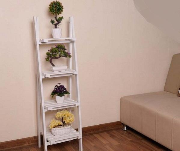 عکس شلف ایستاده