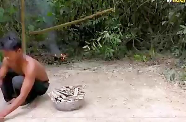 عکس لانه سگ ژرمن