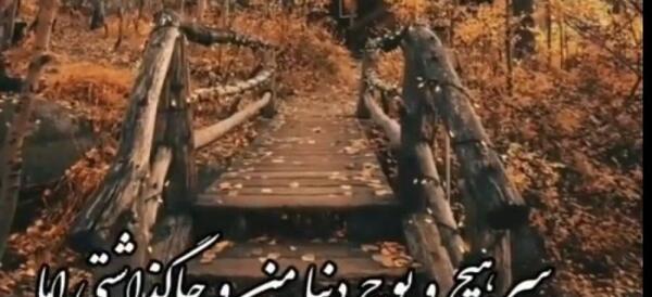 عکس استوری پاییزی شیک