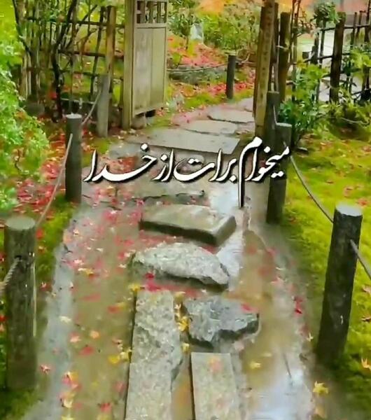 عکس استوری پاییزی شیک