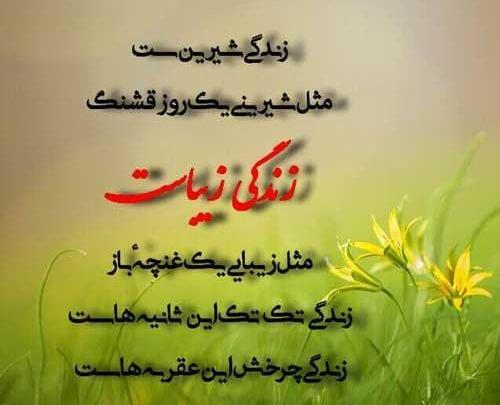 عکس نوشته زندگی زیباست