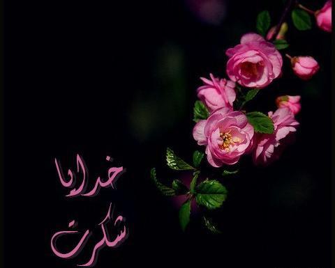 عکس نوشته خدایا شکرت بابت عشقم