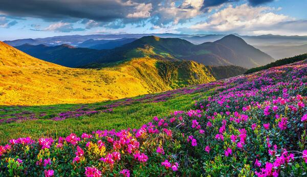 عکسهای زیبا از طبیعت