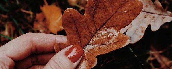 عکس روباه روی ناخن