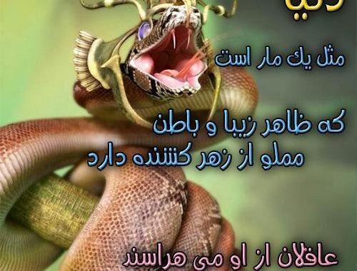 عکس زیبایی ظاهری