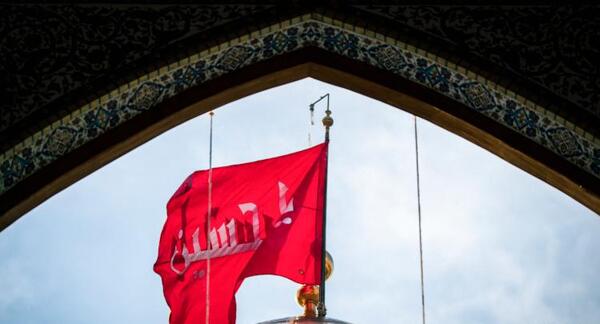 عکس حرم امام حسین برای کلیپ