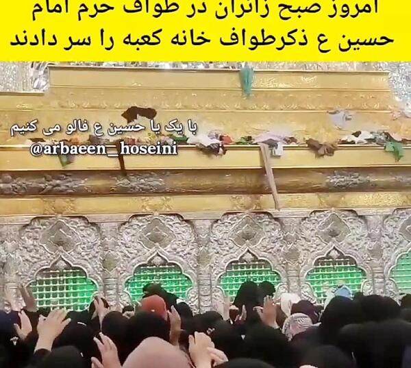 عکس حرم امام حسین برای کلیپ