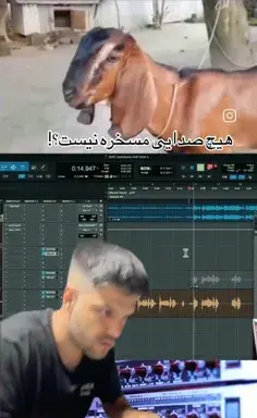 عکس طلا گلزار بدون ارایش