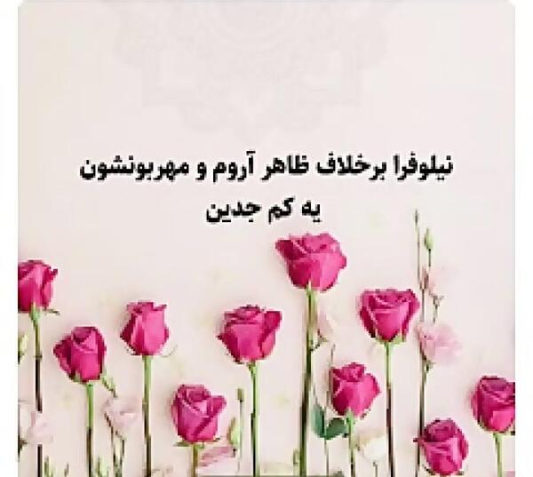 عکس نوشته تولد مبارک نیلوفر