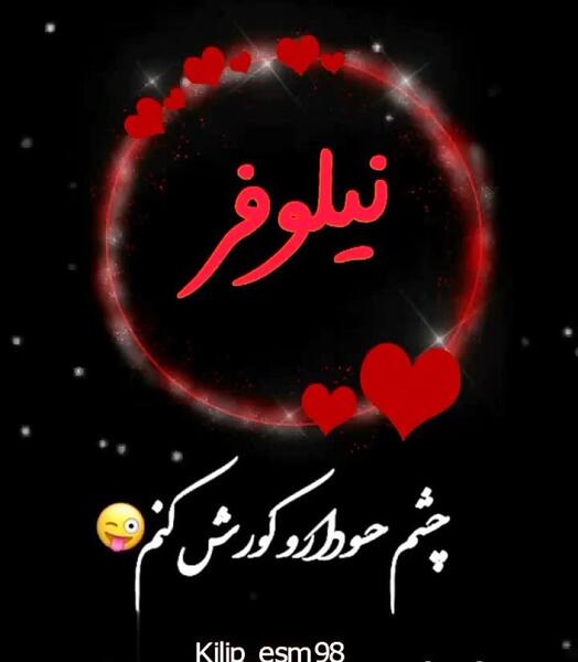 عکس نوشته تولد مبارک نیلوفر