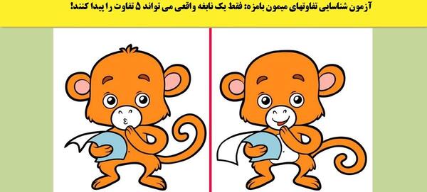 عکس میمون واقعی