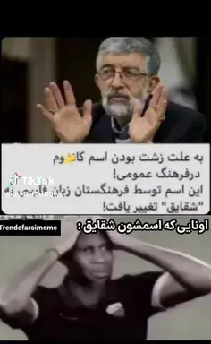 عکس شقایق جباری برای پروفایل