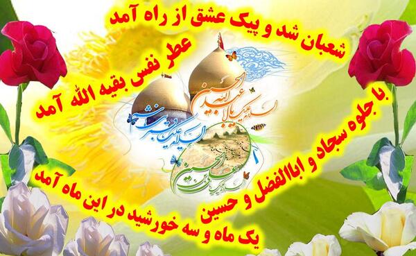 عکس گاو جدید
