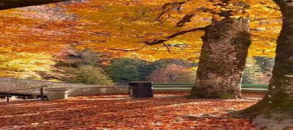 عکس جالب برای واتساپ