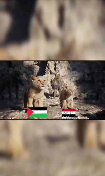 عکس نوه لولو خان