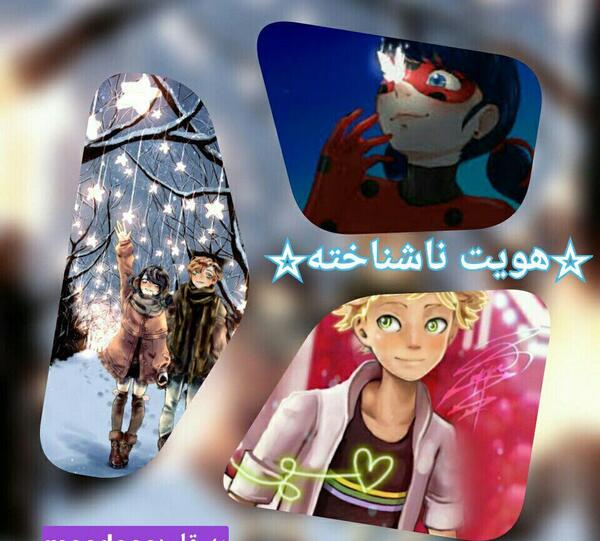 عکس کت نوار ادیت شده