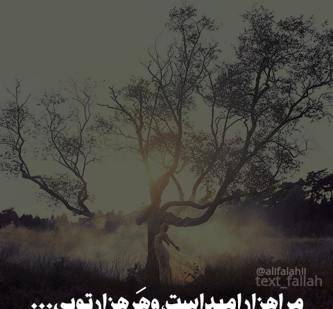 عکس نوشته امید من تویی