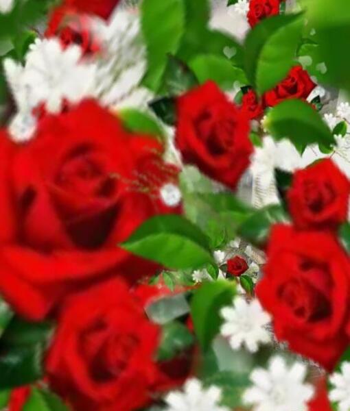 چالش عکس گل