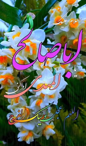 عکس و فیلم نیمه شعبان