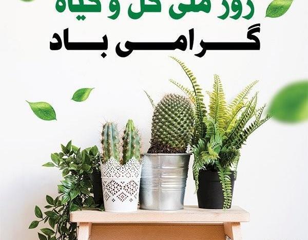 عکس روز جهانی گل