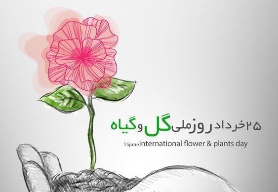 عکس روز جهانی گل