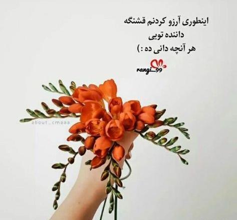 عکس روز جهانی گل